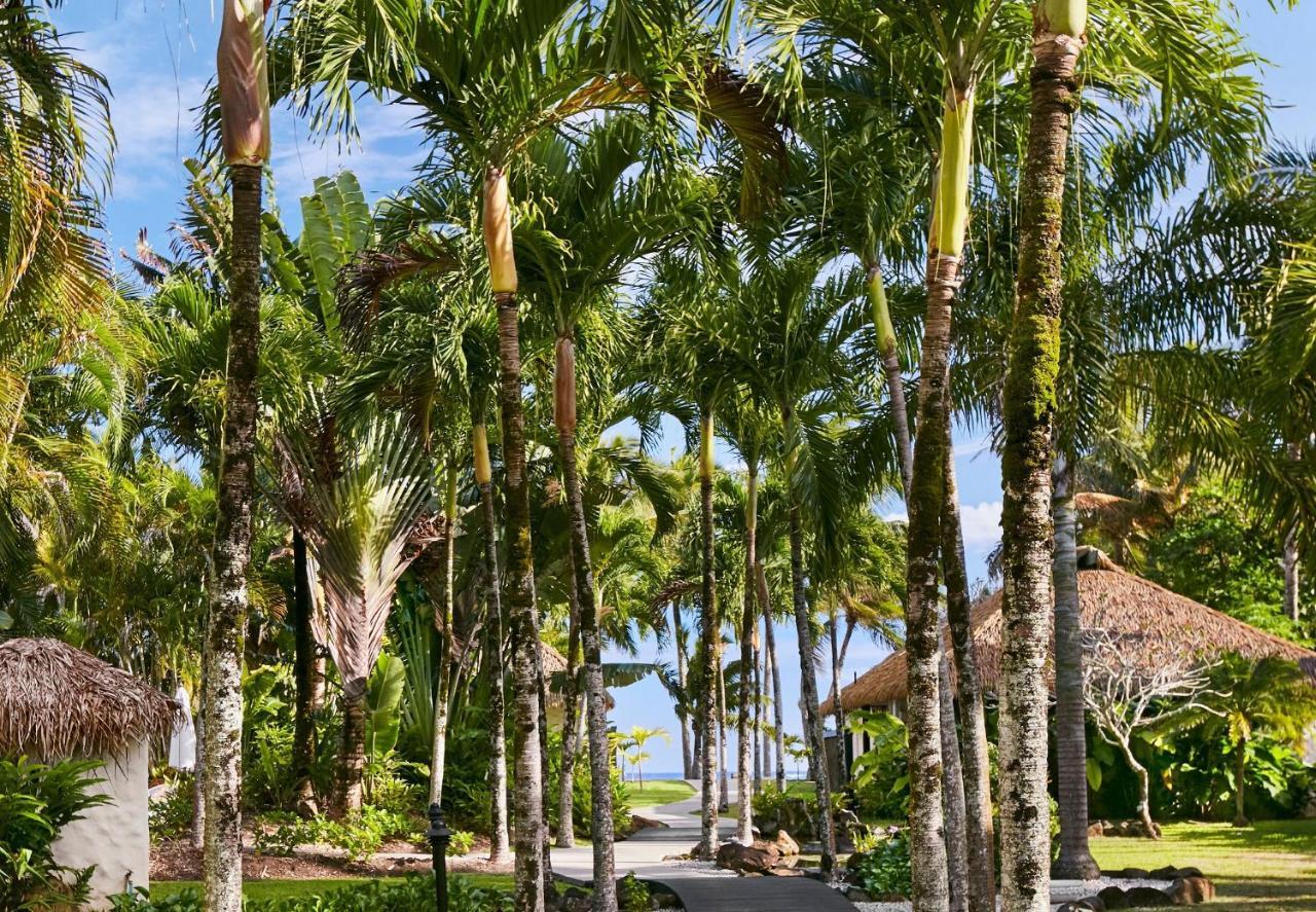Motu Beachfront Art Villas Rarotonga Exteriér fotografie